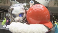 街でさまざまなアートと出会える♪ 瀬戸芸の「県内周遊事業」とは? 香川【いまココ!ナビ】