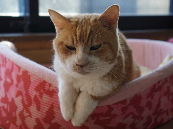 「平和がいちばん」