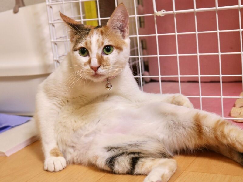 時には挑発的に大胆にジー(Aさん提供)