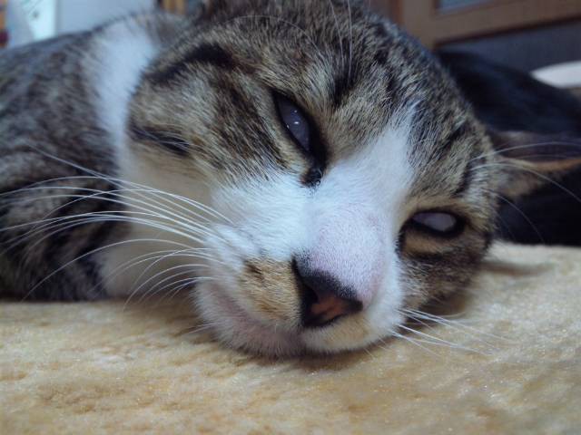 まったり、幸せなひととき