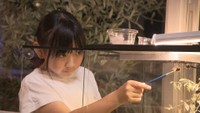 小学生カメムシ博士がついに「初恋相手」を発見 “大量発生”への対処やアドバイスも 高松市