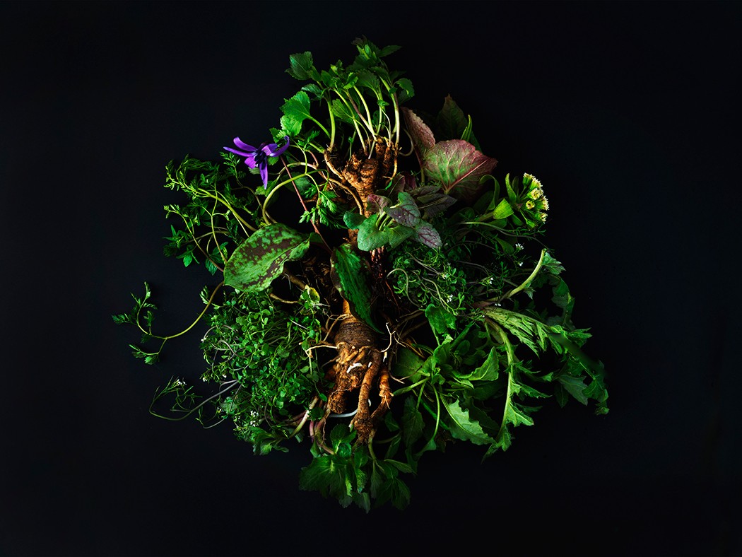 Inua_image12.