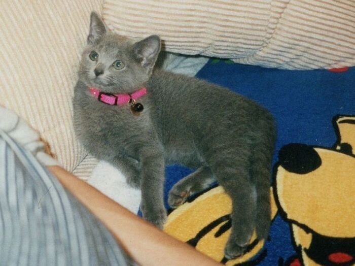 「愛くるしいでしょ」(まみさん提供)