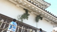 丸亀城でも正月準備 5mの長~い竹ぼうきで「すす払い」 香川