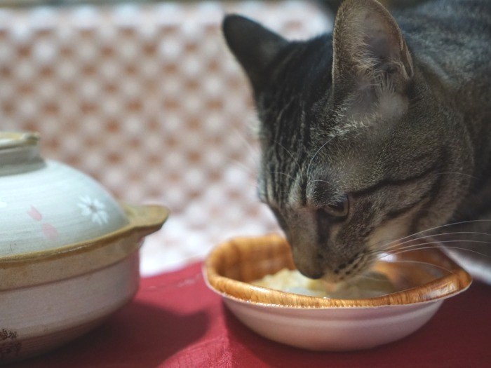 もう一口いってみよう