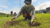 岡山を「ワインの産地」に! 新品種の苗木の植え付けがスタート