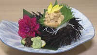 うどんで育てた「讃岐うどん雲丹」発売 海の環境改善、フードロス問題解決へ 香川・多度津町