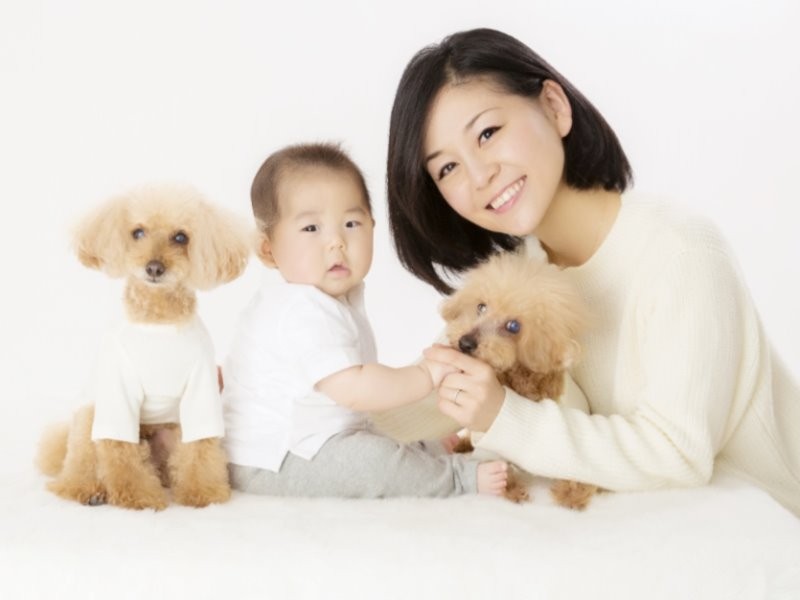 育児と2匹の老犬介護を一生懸命していた (舞坂さんのブログより)