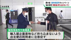 仙台空港国際線定期便の再開に合わせ輸入禁止畜産物の持ち込み防止を呼び掛け
