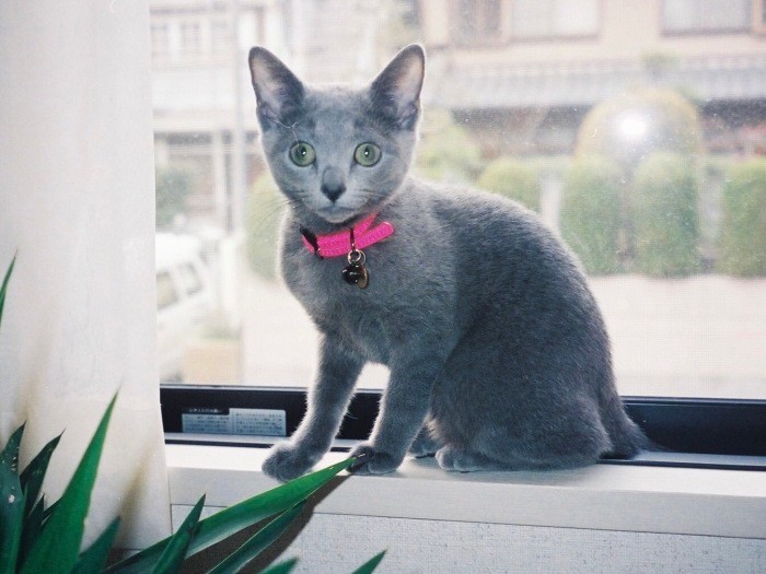 「アタシと家族のストーリーは続く、永遠に……」(まみさん提供)