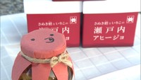 香川のうまみをギュっ!さぬき蛸のアヒージョでバル気分を味わって 香川・さぬき市