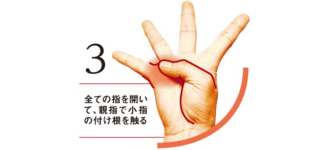 きくち体操:1-3