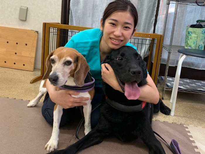 遠藤さんと愛犬の、ラブラドルレトリバーの「さんなむ」とビーグルの「あずき」。「リハビリがもっと普及して、整形疾患に限らず、高齢の子やスポーツをしている子にも気軽に受けてもらえるようになればうれしいですね」(遠藤さん)(遠藤さん提供)
