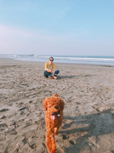 砂浜だとはしゃぐヴィヴィアン