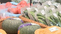 8月31日は「野菜の日」 猛暑・台風の野菜への影響は?保存方法は? 専門家に聞く【みんなのハテナ】