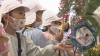 飾りは子どもたちが手作り 丸亀市飯山総合学習センターにクリスマスツリー設置 香川