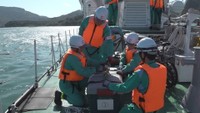 離島での大規模停電に備え 海上保安署と電力会社が訓練 香川・土庄町