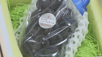 2025年は色つや良く濃厚な甘み 岡山県産ニューピオーネ初入荷 天満屋岡山店