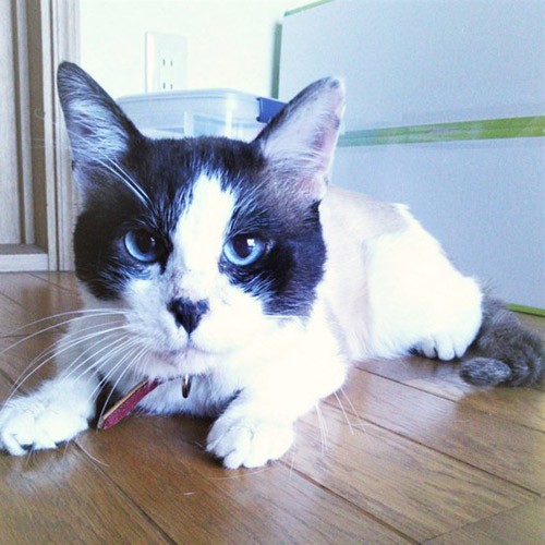 まだ痩せていた頃〔写真提供笑里さん〕