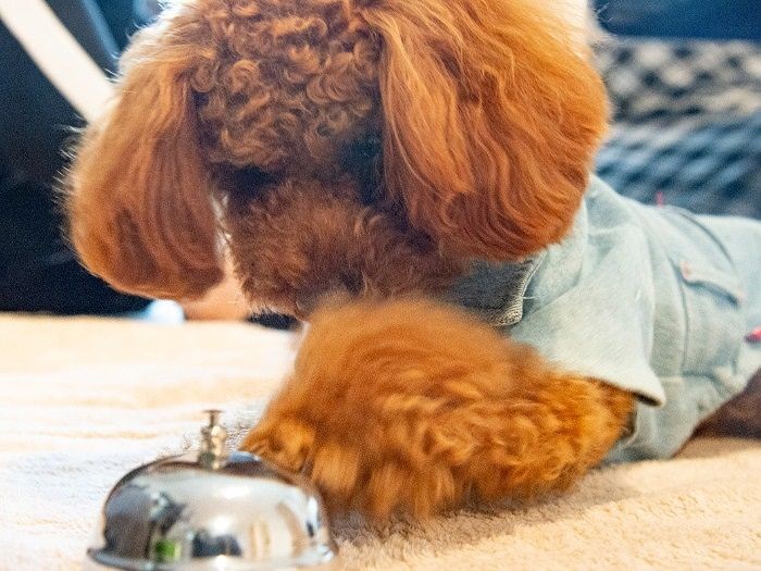 はい終了 チーン