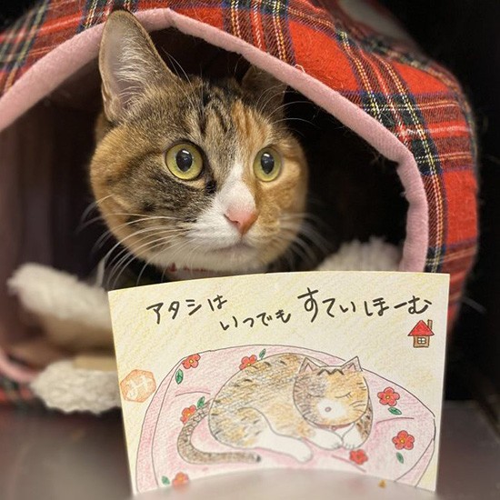 「アタシはいつでもステイホーム」のチャチャちゃん