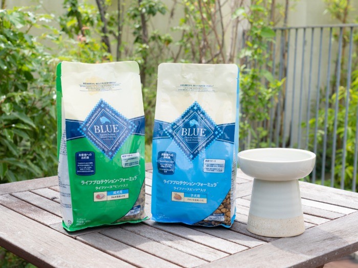 3匹おそろいのお皿でブルーを食べています