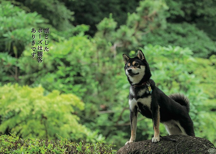 「凜とした ポーズは観客 ありきです」human's eyesより(辰巳出版提供)