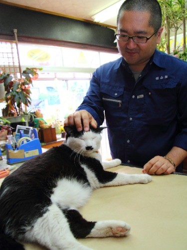 そうそう、その調子でもっと撫でるにゃ