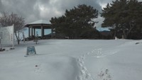 小豆島・寒霞渓で今季初の積雪 10日も香川県の山沿いで大雪、平野部でも積雪の可能性