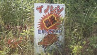 香川・善通寺市でイノシシに襲われ男性2人けが