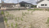 西日本豪雨被災地の住宅融資が7月末で期限 弁護士が延長要望 岡山