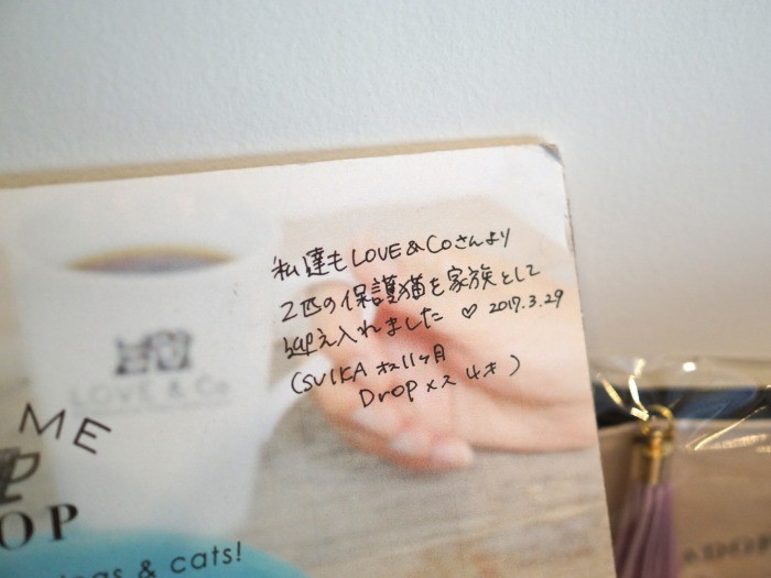 店内に置かれたラブコのパネル