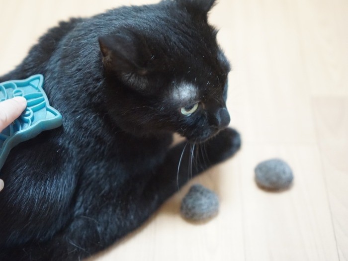 猫の毛はたくさん抜けるからお手入れも大事。イヌオのヘアボールすごいな