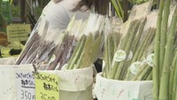 今年もみんなで「大騒ぎ」 アスパラガスの収穫祝うイベント開催 高松市
