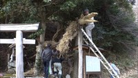 わらで作った大蛇を神社に奉納 来年の安全を祈願する「蛇方祭」岡山・新見市