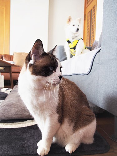 カサコソという音に「食い物?」とすぐに反応する2匹