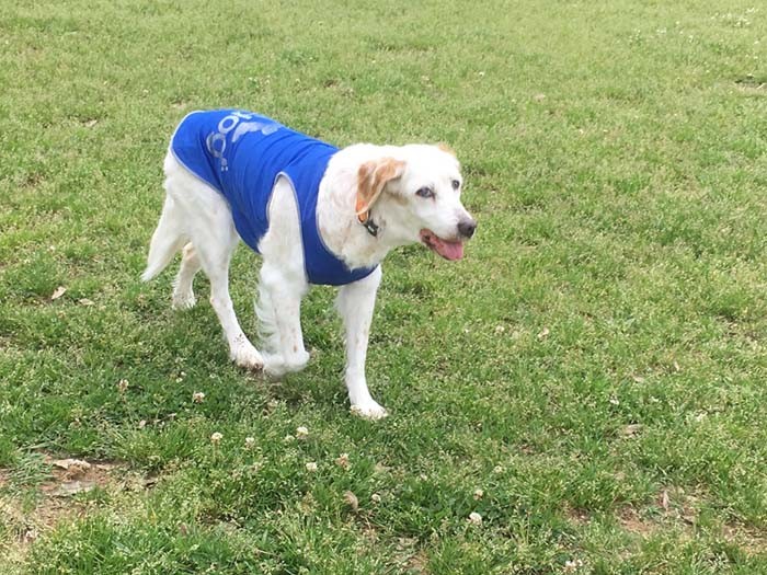 18歳2カ月。「若い子にまけない動きと美貌なの」(長谷川さん提供)