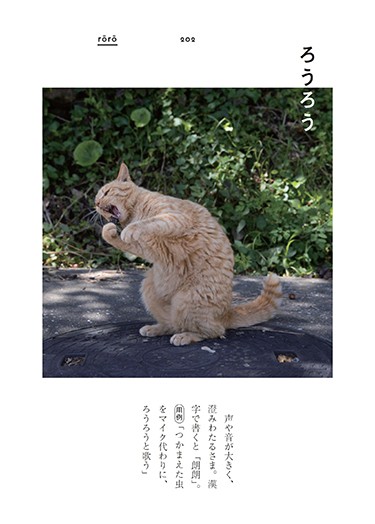 「ぎおんご ぎたいご にゃんこ」より(沖昌之撮影、青春出版社提供)