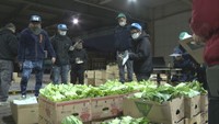 高松市の中央卸売市場で2024年の初競り 鍋の需要が伸び悩み野菜の価格は振るわず
