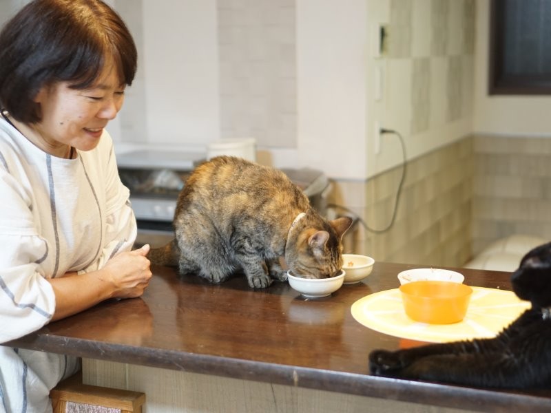 優しい眼差しで猫を見る千春さん