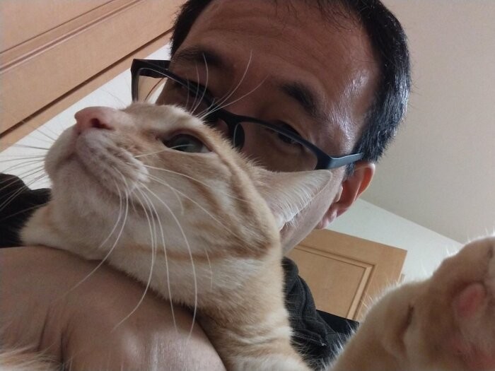 きなこにスリスリする筆者