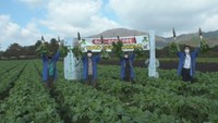 蒜山高原で大根の「初抜き式」 こだわりの大根出荷 岡山・真庭市