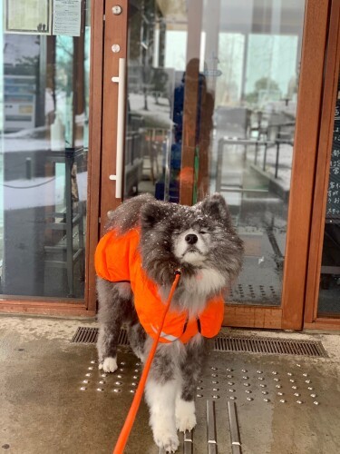 七海のベンチ巡り4 カフェも好き