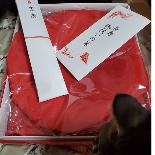 「座布団?帽子がでかい」(この時点でようやく気づく)