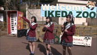 岡山・池田動物園65周年 市民やアイドル存続の支えに
