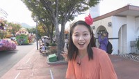 一緒に踊れるパレードや“目玉”のスイーツも ハロウィンを満喫できるスポット 香川【いまココ!ナビ】