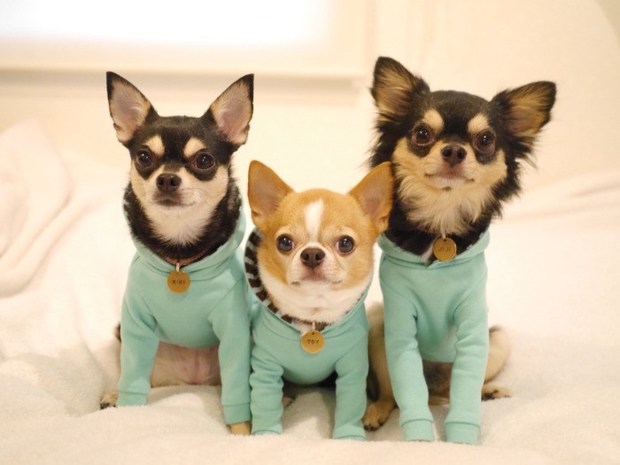 名札もかわいい