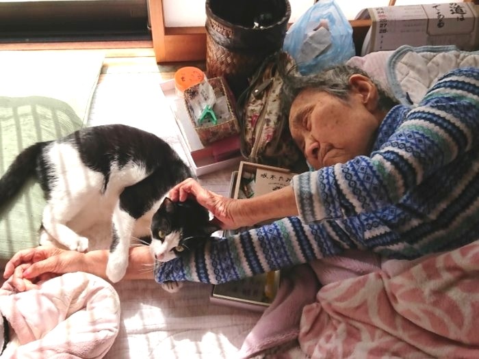 やっぱりここが好き
「ねえおばあちゃん、ずっと僕と遊んでね」