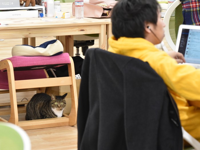 いるのが「あたりまえ」の存在なんです(小林郁人撮影)