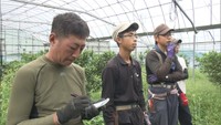 【特集】ミカン農家を育てる「未完塾」 家業を継ぐため…男性が東京から香川に移住し奮闘中!